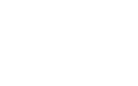 Steam Master