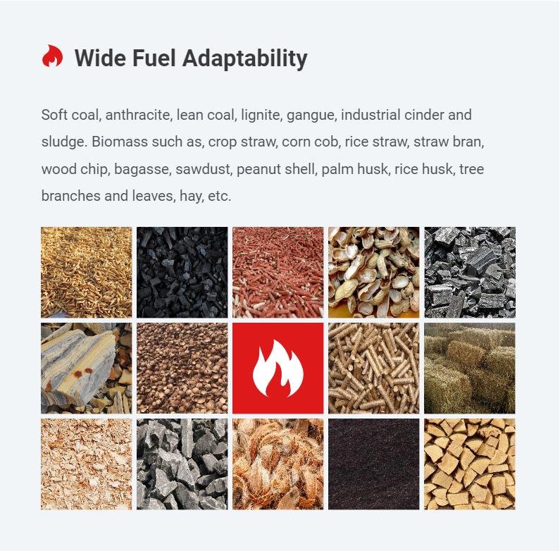 biomass-features-1